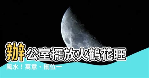 火鶴辦公室風水|在風水上，火鶴花有什麼重要的特色？